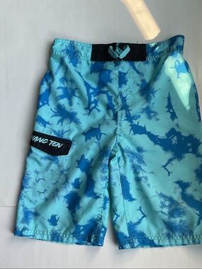 Hang Ten Tie-Dye Swim Shorts
